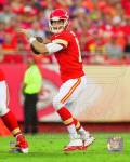 Alex Smith 2014 Action