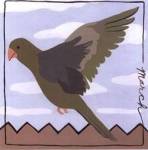 Avian March by Megan Meagher