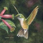 Backyard Jewel by Dempsey Essick