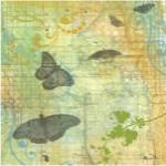Butterflies I by Jan Weiss