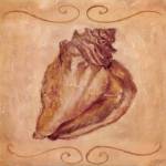 Conch by Shari White