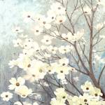 Dogwood Blossoms I by James Wiens