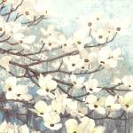 Dogwood Blossoms II by James Wiens