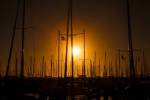 Mast Sunset by Chris Moyer