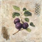 Plums by Starlie Sokol Hohne