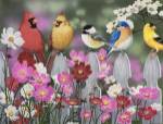 Song Birds and Cosmos by William Vanderdasson