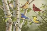 Summer Friends by William Vanderdasson