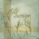 Tarragon by Bob Pennycook