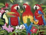 Tropical Friends by William Vanderdasson