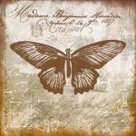 Vintage Butterfly I Ocher by Andrea Haase