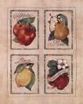 Vintage Fruit by Jerianne Van Dijk