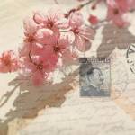Vintage Letters and Cherry Blossoms by Deborah Schenck